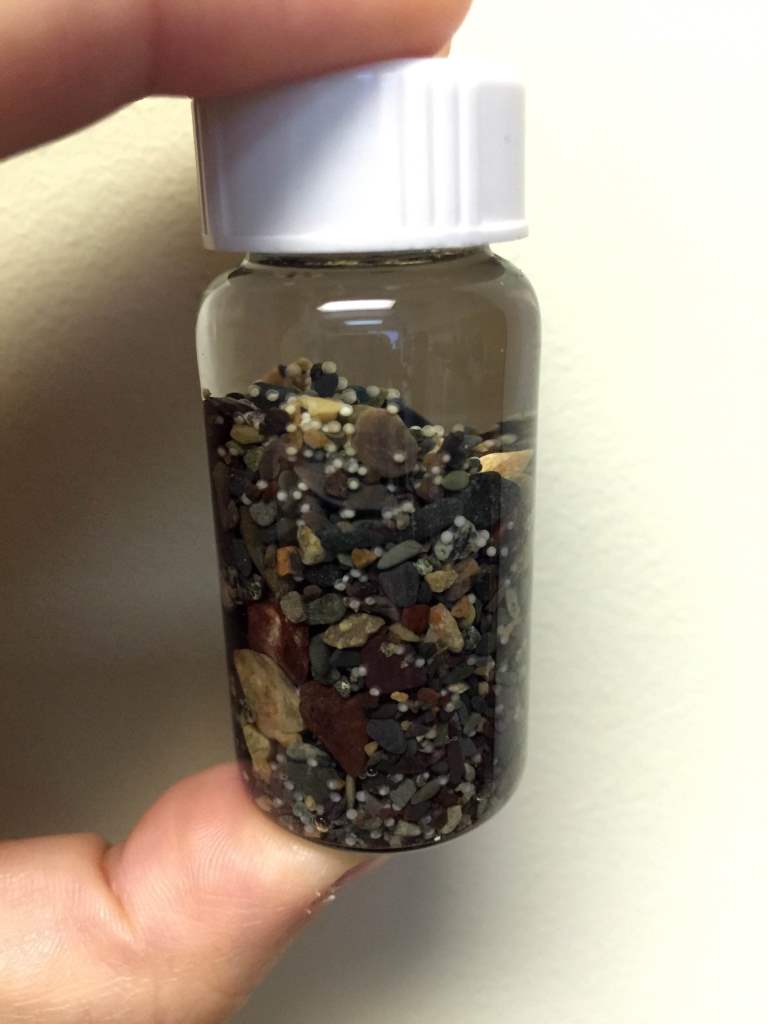 We look at more than just the #capelin during #CapelinRoll2016. #DFOScience monitors eggs on the beach as well.