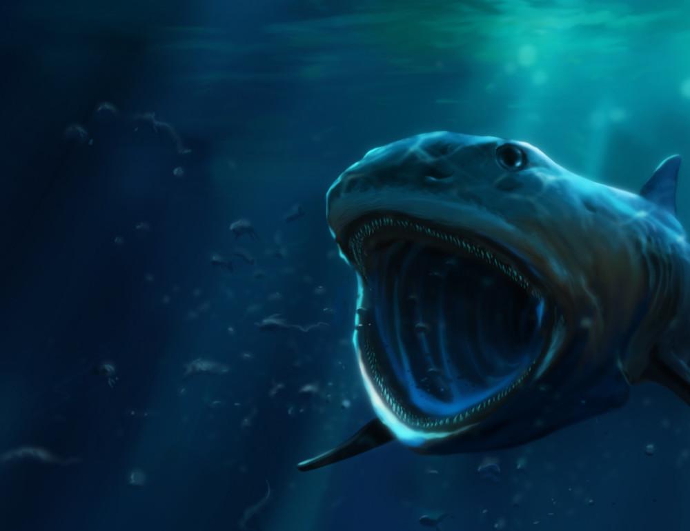 Discovery's tweet photo. Meet the pseudomegachasma, a huge prehistoric shark that fed exclusively on plankton >> https://t.co/4fAXFIumfJ https://t.co/CDw0lrJaGJ