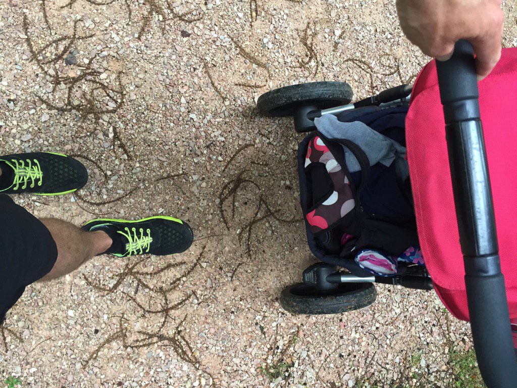corkyrhodes's tweet photo. @ChathamUK for the ultimate daddy day care shoe #daddystyle #loadsofgrip #fastacceleration #chasingmolly https://t.co/W4jGHKcIk3