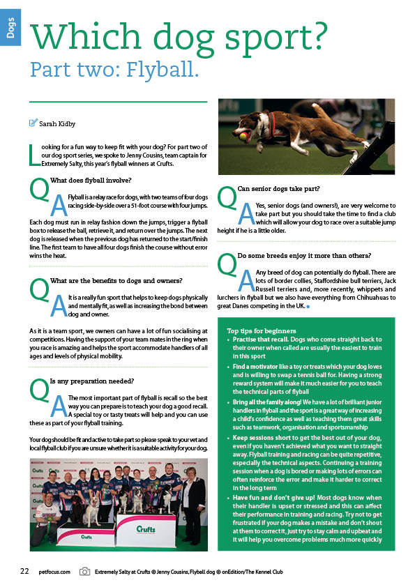 PetFocusOnline's tweet photo. Fancy a go at flyball? Our guide this issue will help get you started! https://t.co/Wmg1FVJcql
