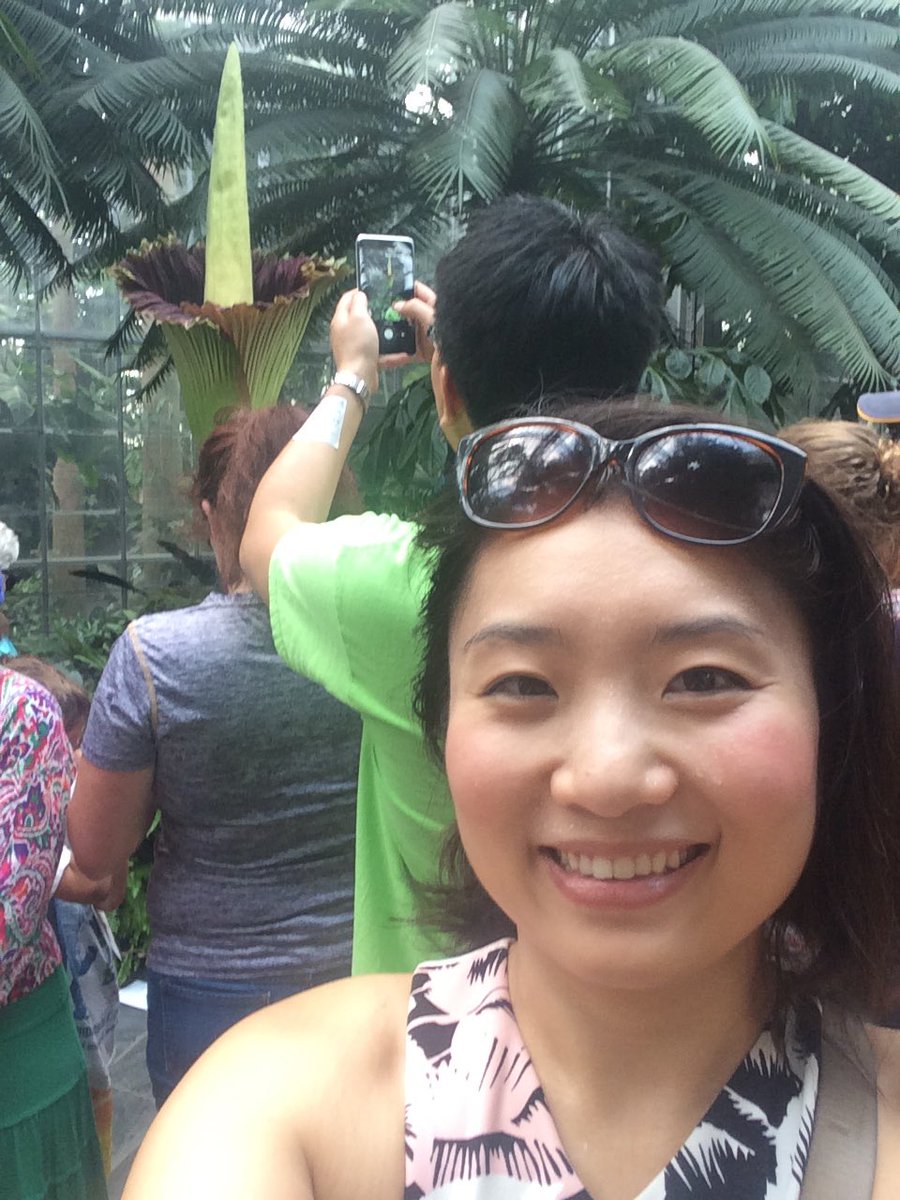 EJia9's tweet photo. Corpse flower blooms in the daytime! A once in a lifetime occurrence! #stinkyflower #USBotanic @wusa9 https://t.co/Th1BtFpZz3
