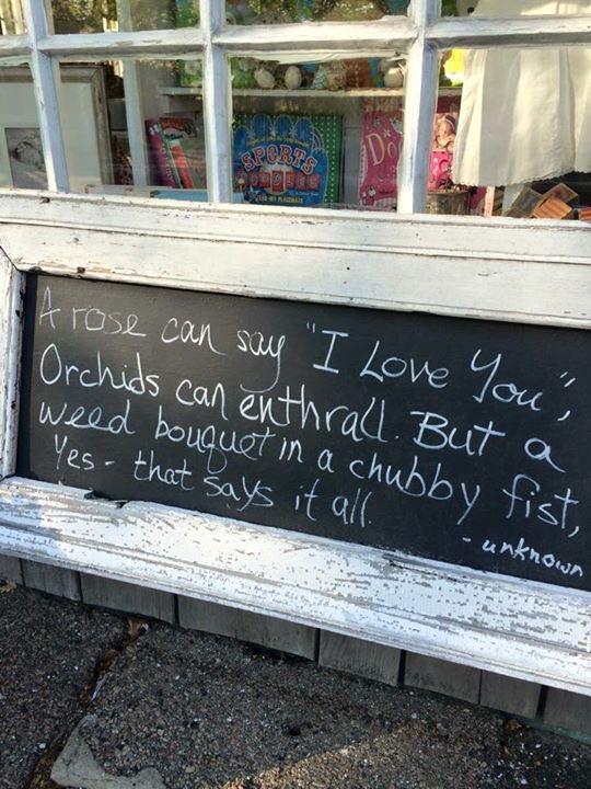 betheunstuck's tweet photo. Because life gives us bouquets of weeds. Be Unstuck with a smile! #everydayunstuck https://t.co/rESEiDQyOc