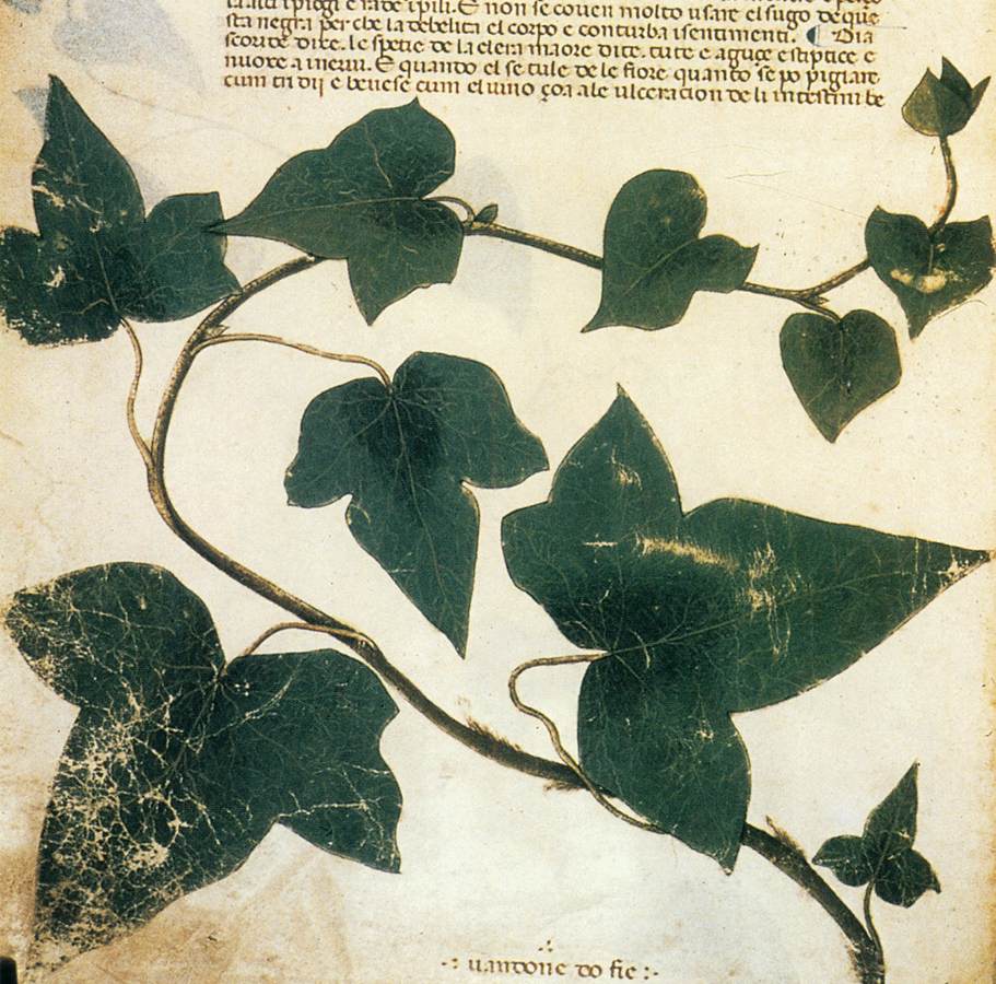 Stefano Rocca tweet media