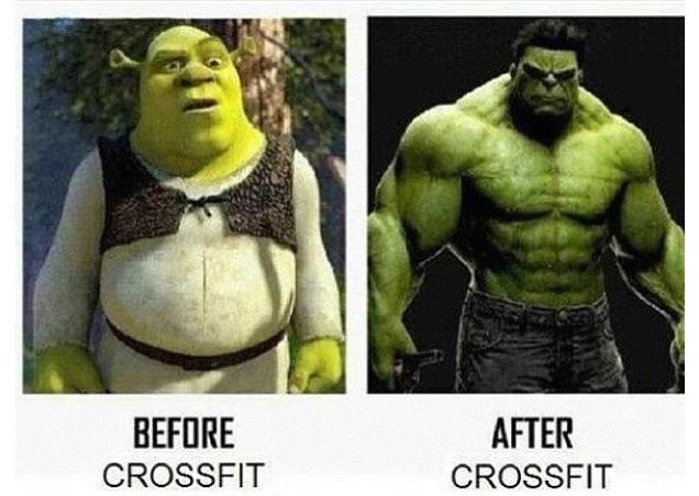 WOD App tweet media