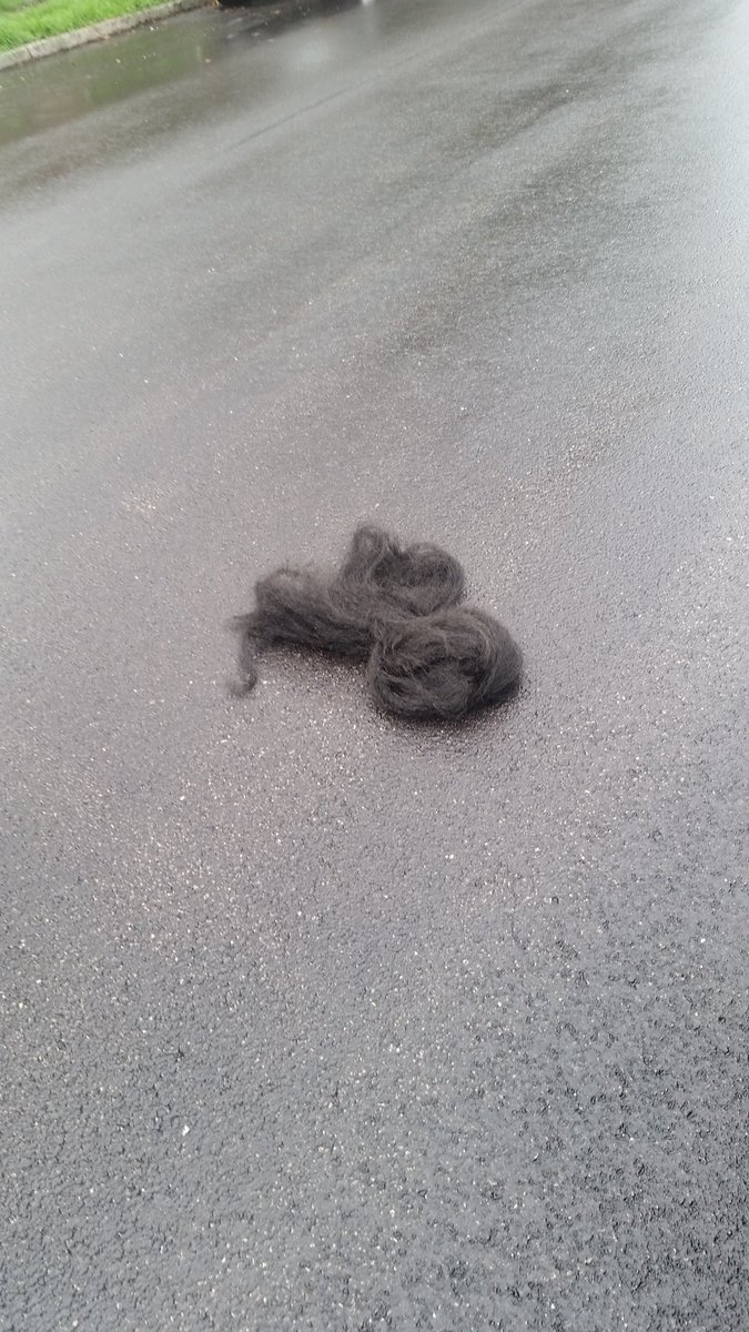GutsDanson's tweet photo. When there is this much wig on the street you know it's #TwoMicTuesday. @jrmoorecomedy #amirite https://t.co/yfmG99O8VC