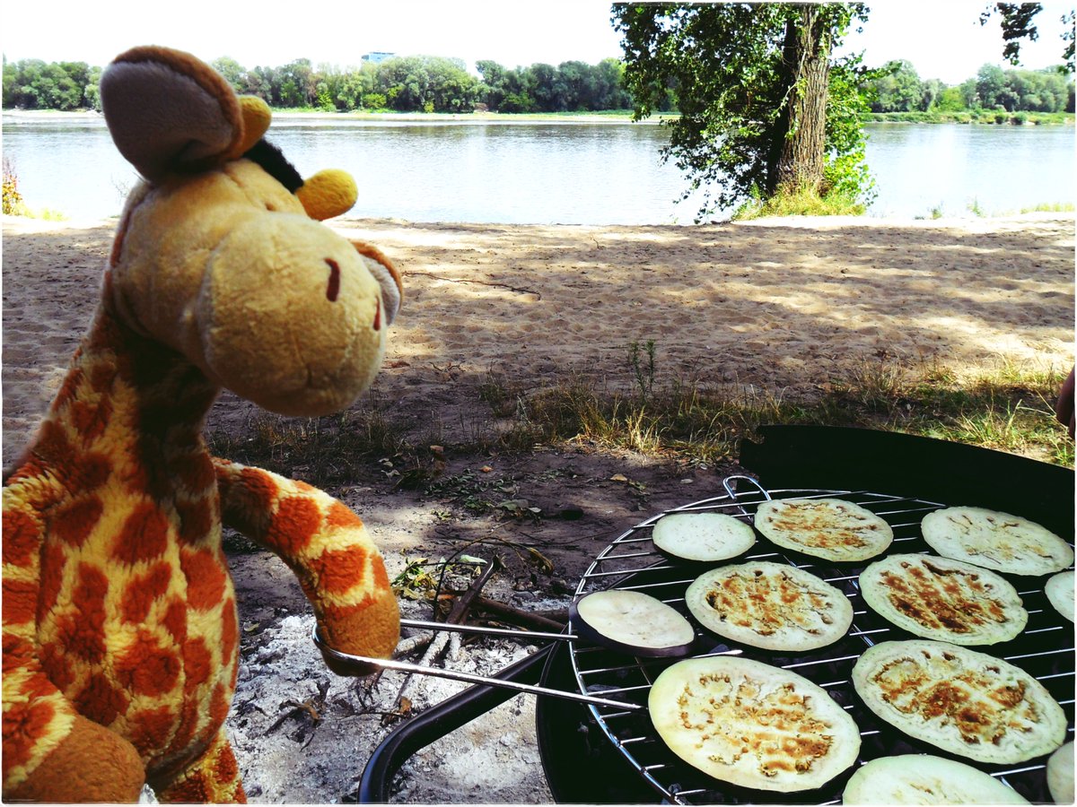TomyJiraffa's tweet photo. A #good #summer 
Un #buen #verano 
#vegan #barbacoa #Jirafa #Africa #rio #playa #wisla #happy #smile https://t.co/0MkzxbGFf9
