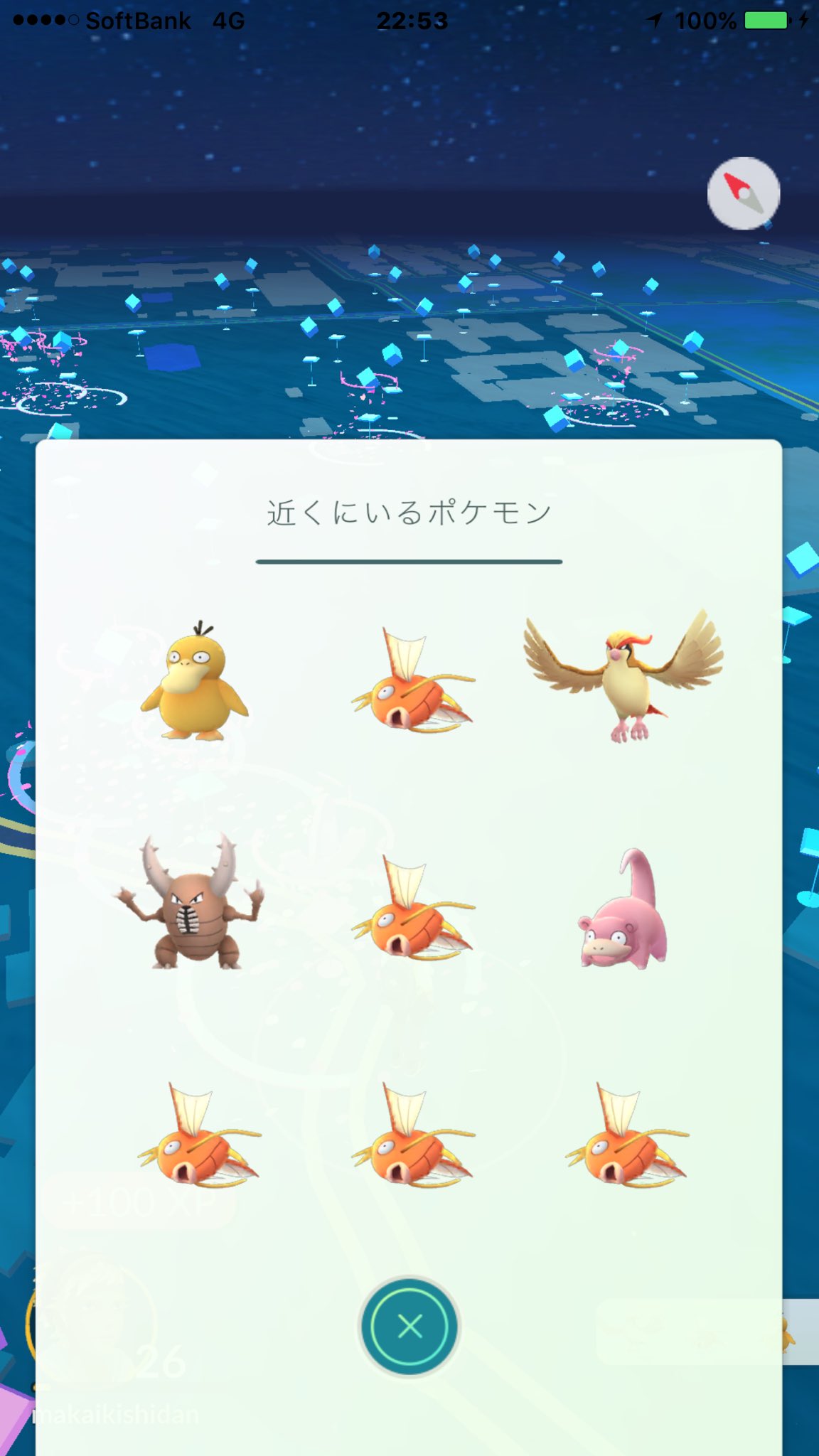 コイキングの巣 Twitter Search Twitter