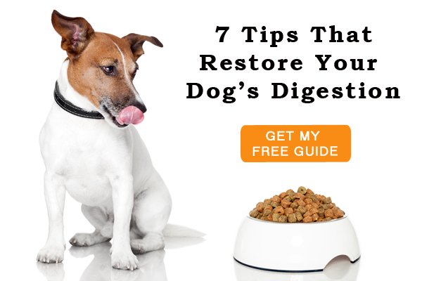 maxxipaws's tweet photo. Get your 13 pages FREE report today https://t.co/VVk1qWWt9w #dogsdigestion #dogsdiet #dogsfood #dogshealth #dogs https://t.co/UDOEIFjJfD