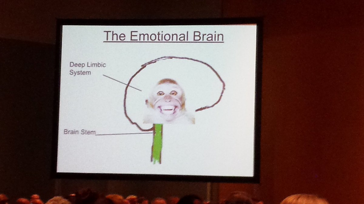 sarahptracy's tweet image. @DCJS_VCSS #safetyforum Best slides of the day. @jimharrisocs #brainbasics #brainrules #kidsmatter