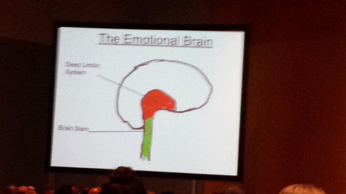 sarahptracy's tweet image. @DCJS_VCSS #safetyforum Best slides of the day. @jimharrisocs #brainbasics #brainrules #kidsmatter