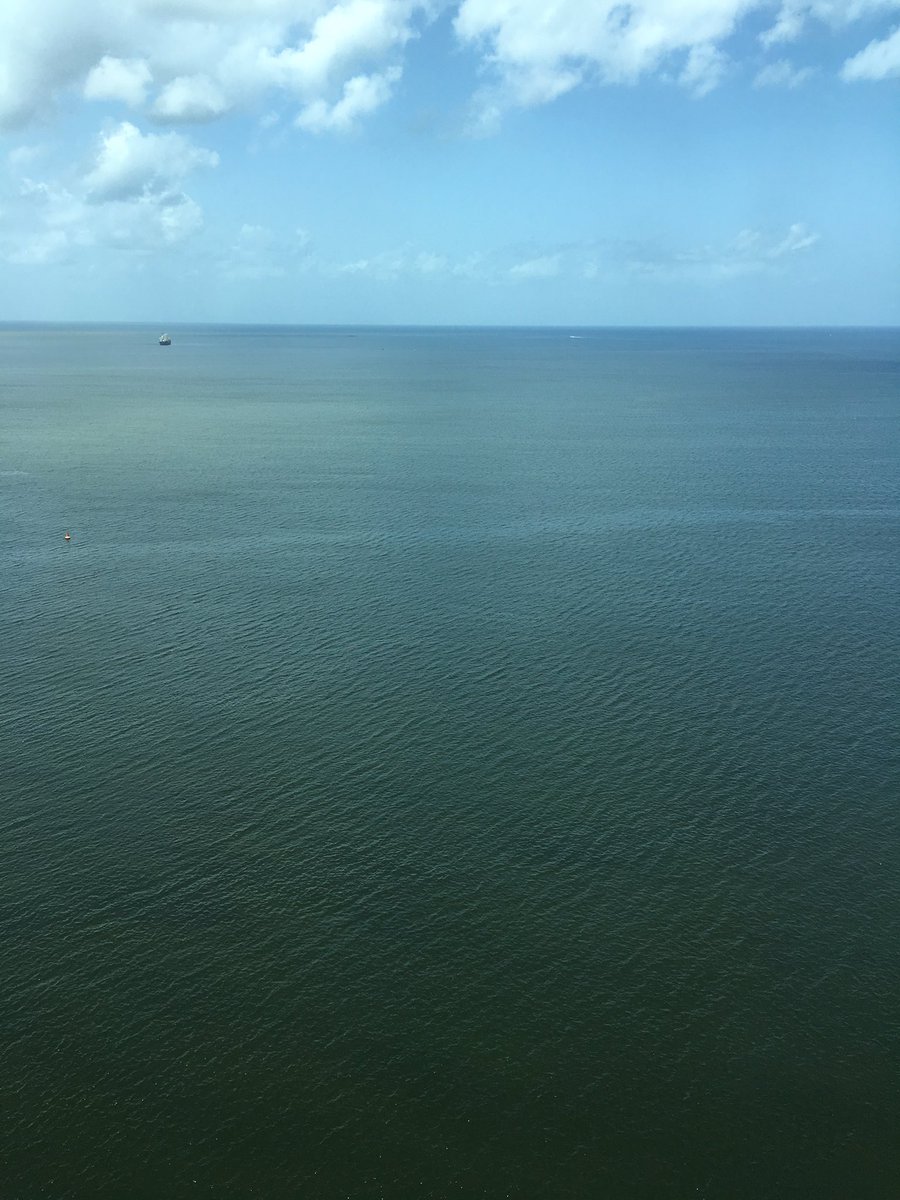 MariusRovde's tweet image. View from my hotel bed🙈