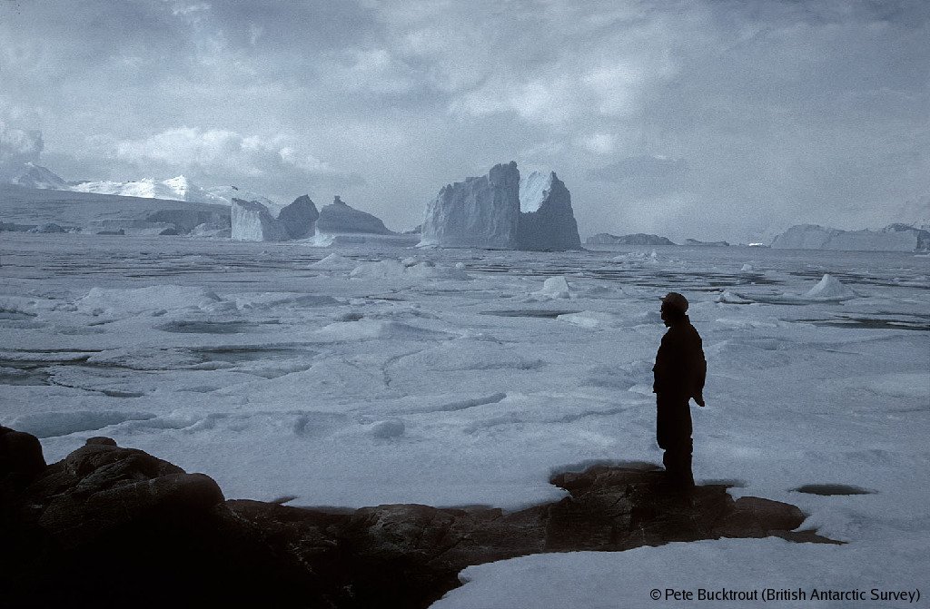 BAS_News's tweet photo. #FrozenFact: The expansion of seasonal sea ice during winter effectively doubles the size of Antarctica! https://t.co/0vHzb0tm0m