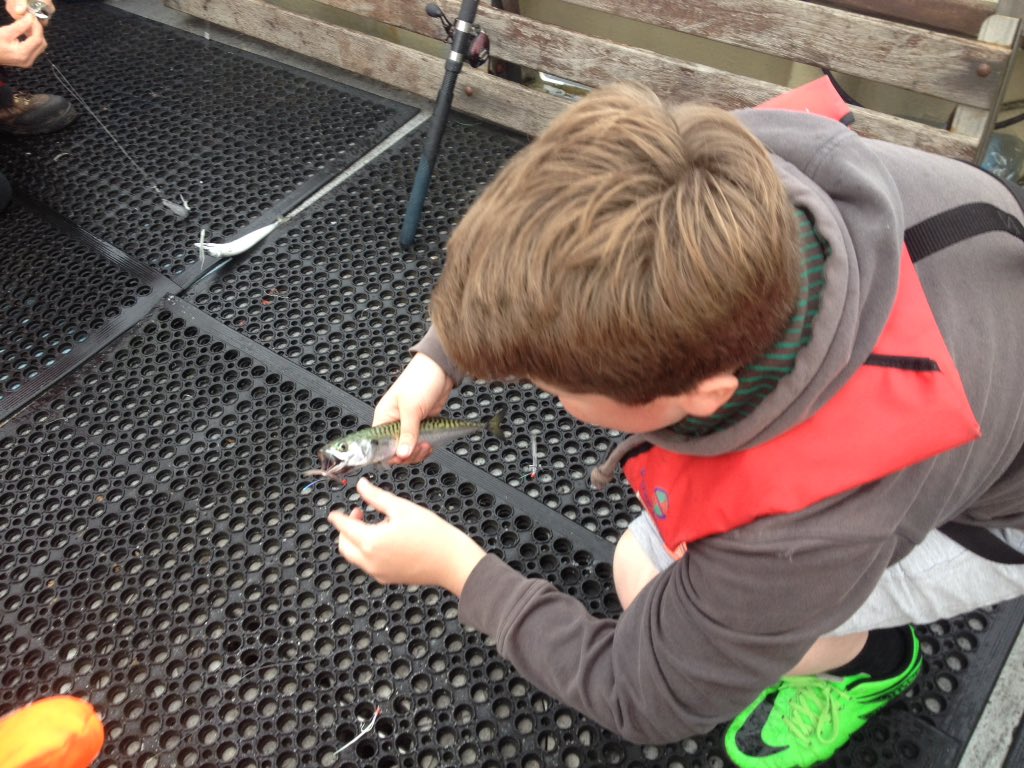 Irish Food Guide - Zack tweet media