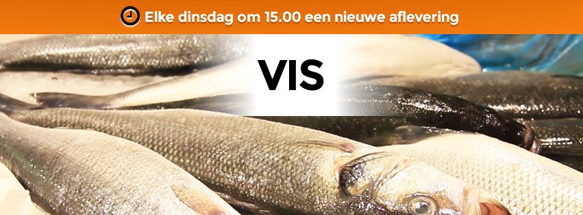 Nederlanders eten slechts 4.5kg vis per jaar, ten opzichte van 45kg vlees! Hoe kan dat? Vimeo.com/176430690