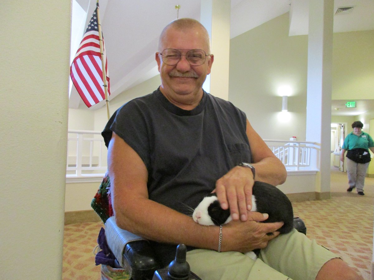 PheasantLEC's tweet photo. Saturday we had some furry visitors!
#ThumperTherapy
#AnimalTherapy https://t.co/xQIC9jpquR