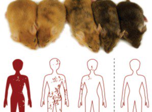 DiscoverSoc's tweet photo. How plasticity can be turned into an exclusionary discourse |Meloni #DS34 https://t.co/vTOOYU8W1a https://t.co/2SvCbQhPSa