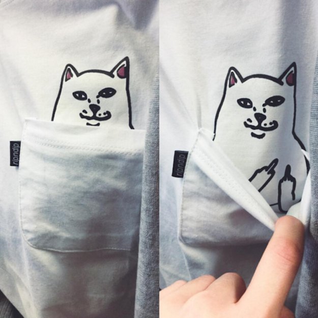 productsformee's tweet photo. Products you should buy if you're a mean bitch! https://t.co/OLQyPjH1EG
