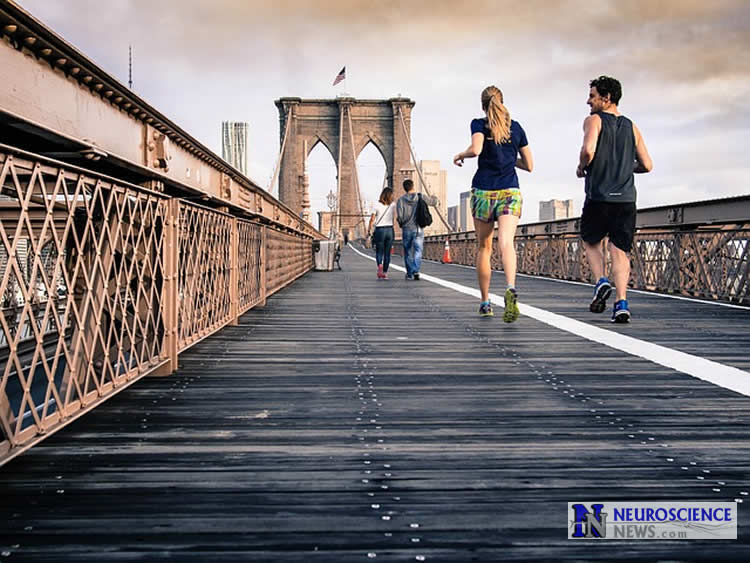 NeuroscienceNew's tweet photo. Exercise Results in Larger Brain Size and Lowered Dementia Risk https://t.co/NqxI7D1o20 #neuroscience #science https://t.co/m0r2M8T8WV