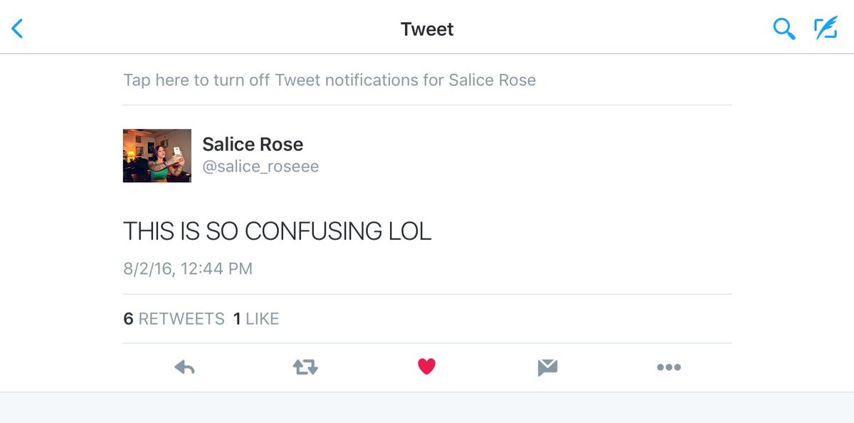 Salice rose twitter