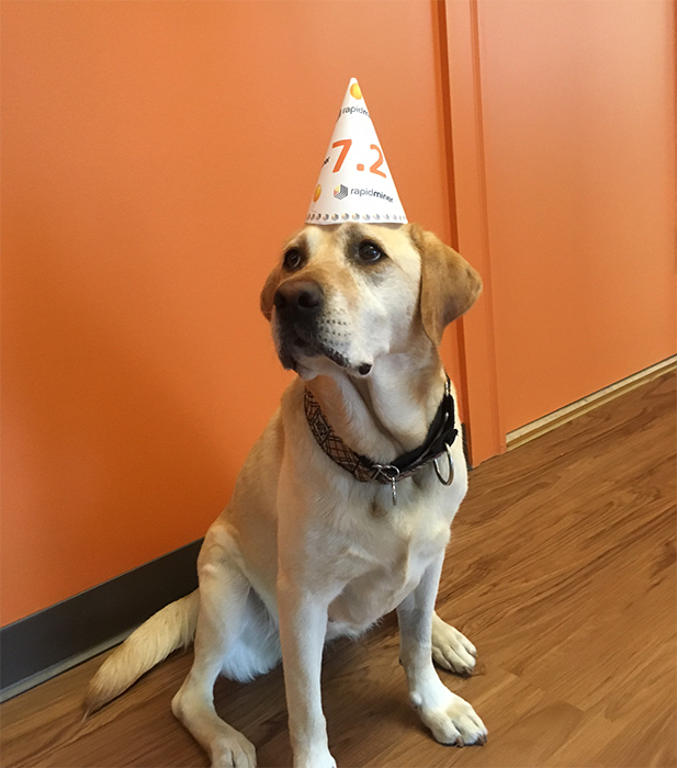 ingomierswa's tweet photo. Release party for @RapidMiner with @MarlaCFO - which do you like? RT for Marla, like for me. https://t.co/4pJXmrG8wH https://t.co/5djBPiXz0X