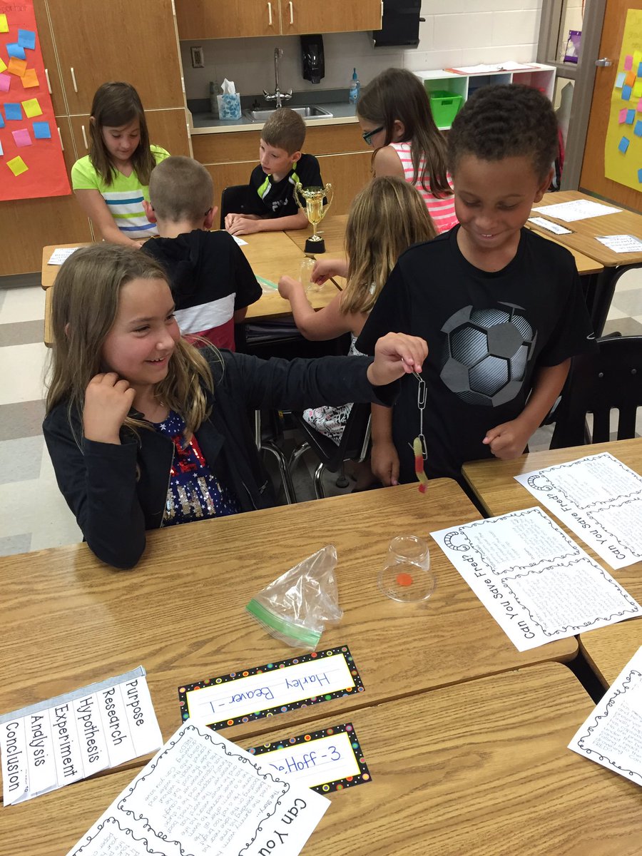 MrsBrown3rd's tweet photo. Can you save Fred? Interactive science activity this afternoon. #scecoyotes #newpalproud https://t.co/dpeKMkpgVc
