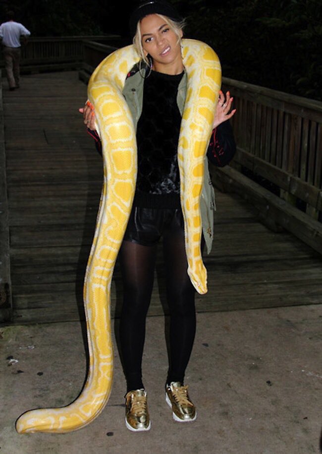 loverboyshit's tweet photo. legends with snakes. #TaylorSwiftWhatUp https://t.co/PYxOb74Jvj