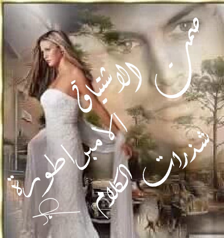 أحبه الى ألان
ولكن بصمت
أخاف ان احن
اليه ويعود
يجرحني
سأكتفي بمايسمى
#صمت_الاشياق
#شذرات_كلام
