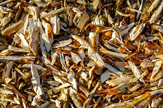 MonJardinEnP's tweet photo. Le #BRF (Bois Raméal Fragmenté) une technique de restauration du sol très efficace
https://t.co/8atrcm7Lnr https://t.co/uvOaApJTe6