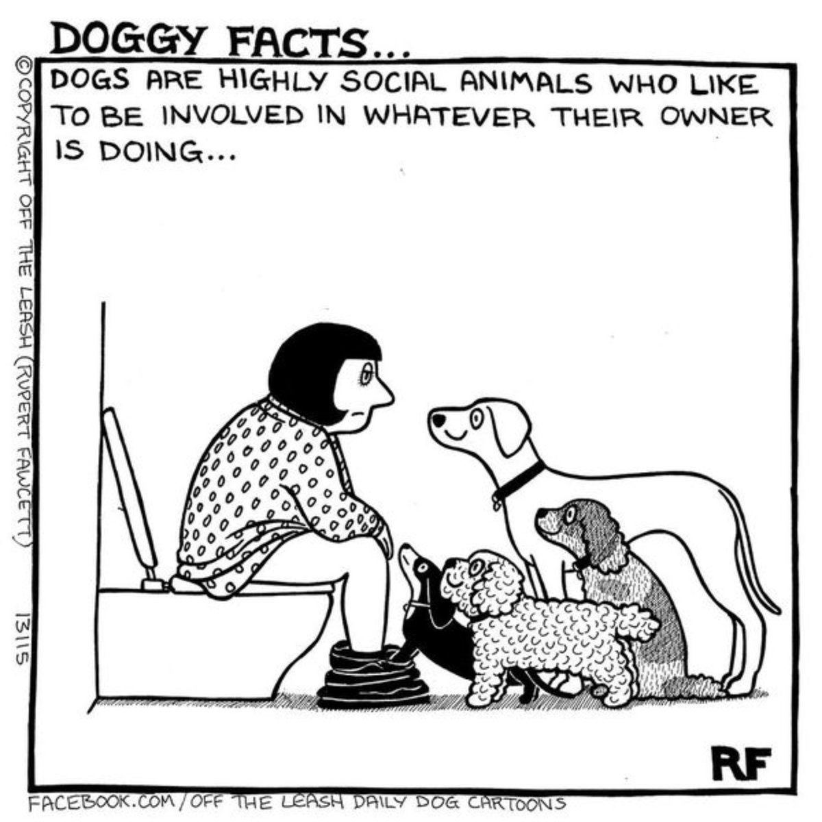 GoodSitDogs tweet picture