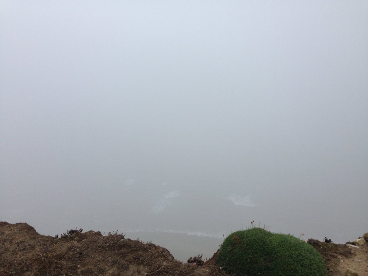 Delicious (&amp; huge) cream tea <a href="/DownhouseFarm/">Downhouse Farm</a> following a slightly foggy cliff top walk. Didn't fall off. 🍓 #Dorset