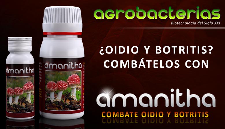 agrobacterias's tweet photo. Si oidio y botritis son tus problemas, ยกponle soluciรณn con #amanitha! +iinfo https://t.co/jSljrOKQBi https://t.co/n7tN3iL8kl