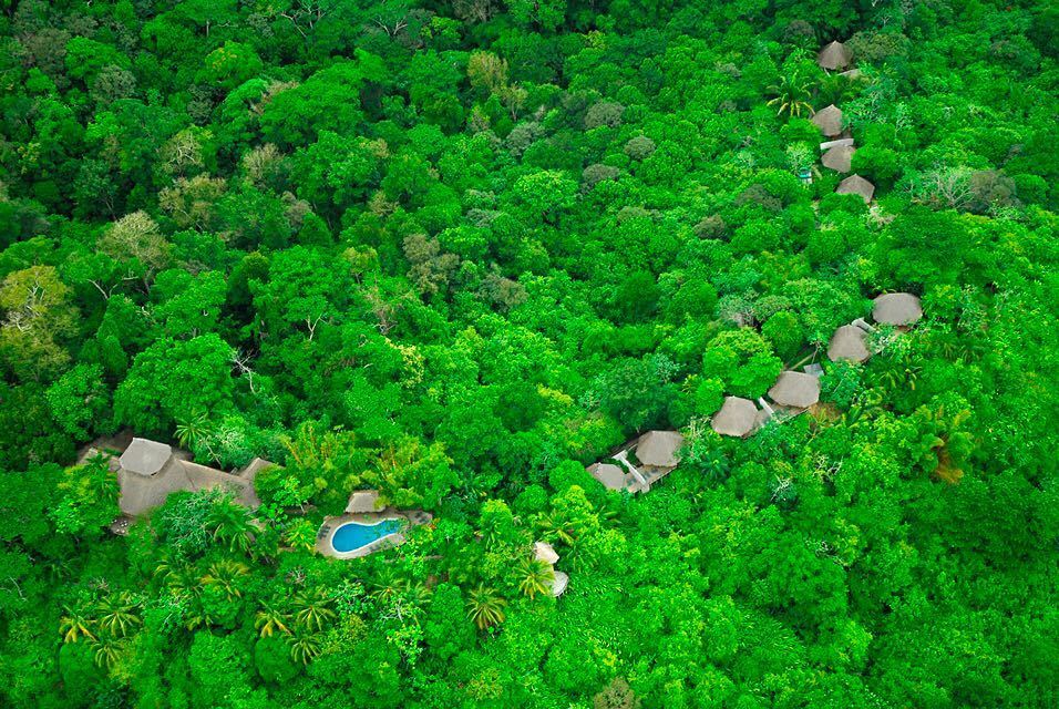 costaricaexprts's tweet photo. Walk on the wild side. 🐾 Stay on a private #nature reserve in the middle of the #rainfores… https://t.co/U170lFvgsT https://t.co/AZEuryjcPG