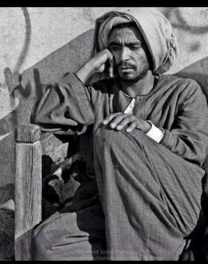 فقير يناشد ابو الحسن علي ع
يكله راح 
ازورن صورتك 
#ماعندي
          
 اجيك
.
.
 #متكلي_شوكت_نرتاح يااا امير المؤمتين