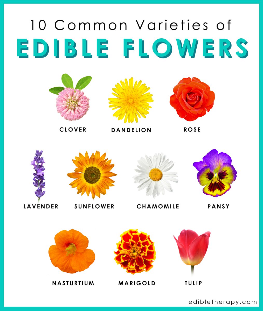 Don't limit yourself to making just fruit and vegetable ferments. Here are 10 Common edible flowers that you can use