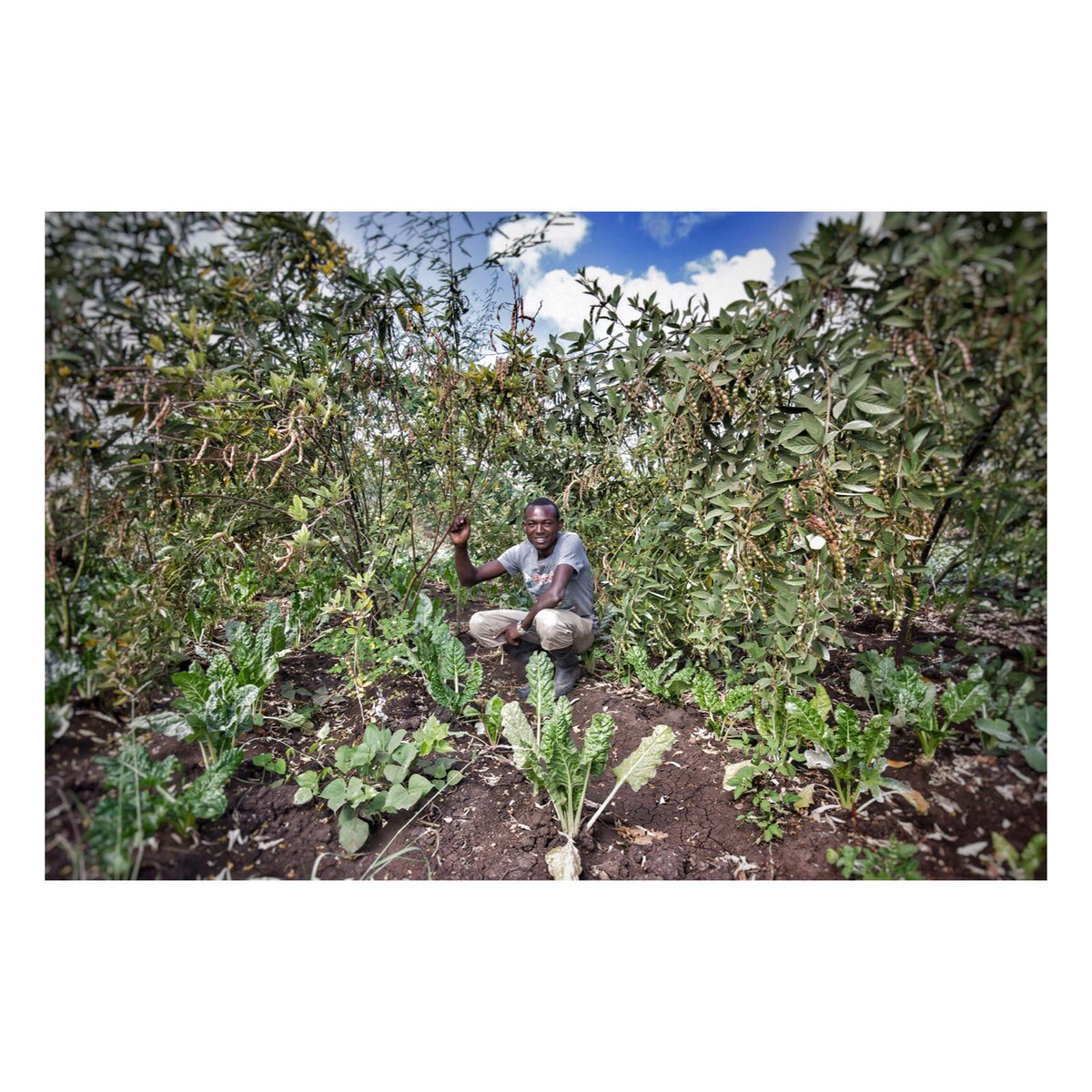 Feel like a proud mama duck waking up to this in my inbox. We're feeding 700 kids. 2,000 farms to go. #OneHeartFarm