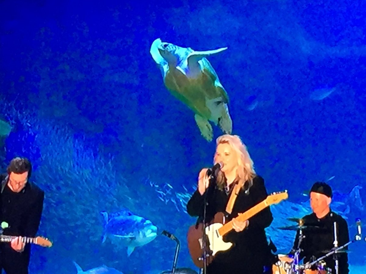 The <a href="/2OceansAquarium/">Two Oceans Aquarium</a> providing a spectAcular backdrop to <a href="/karenzoid/">karen zoid</a> at the launch of <a href="/irnavanzyl/">Irna van Zyl</a> 's #DeadintheWater