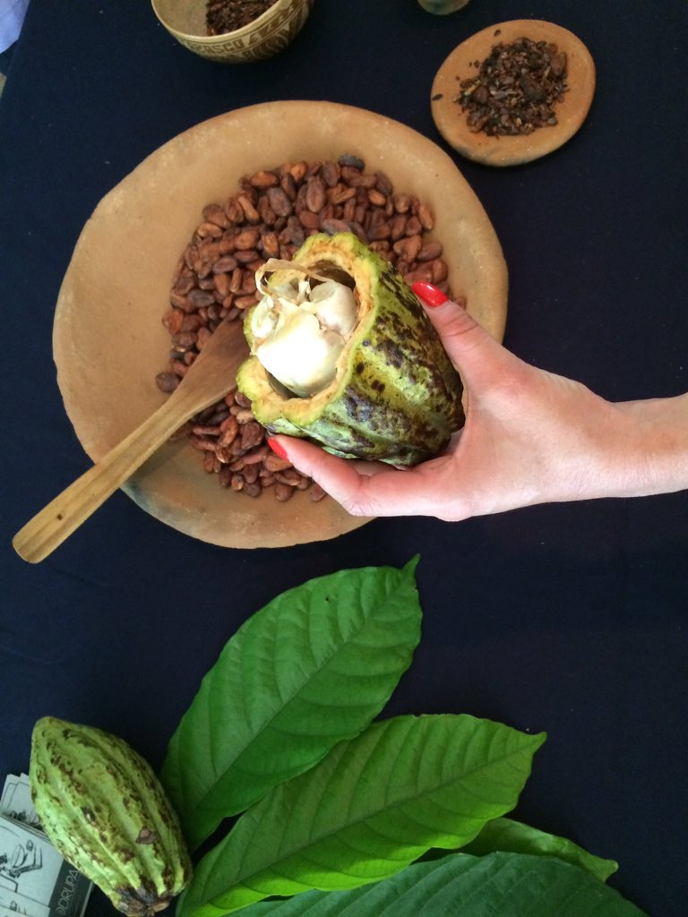 DRUPAmuseo's tweet photo. Estamos compartiendo cacao! #drupa #drupafan #Tabasco https://t.co/6MQcGfkKda