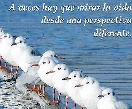 ConsultoresABC's tweet photo. Cambia tu visión... Te ayudamos!! Pregunta por nuestros servicios #motivacion #vision #misión #FelizMartes https://t.co/dPFarqTcFG