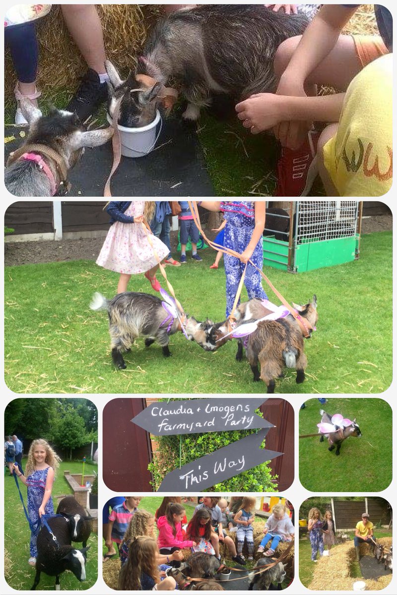 fishersmobile's tweet photo. @BBCCountryfile Don't forget we also do #minifarms for kids party's #fishersmobilefarm https://t.co/g3zy8dYkkv