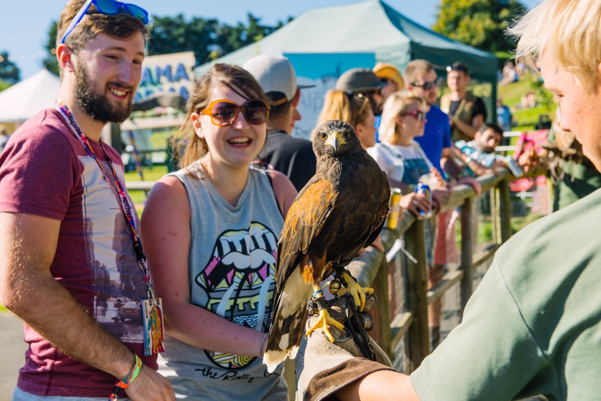 Bestival's tweet photo. Slow Motion at #Bestival 2015 with @HavenFalconry! https://t.co/NGotsxgS5G