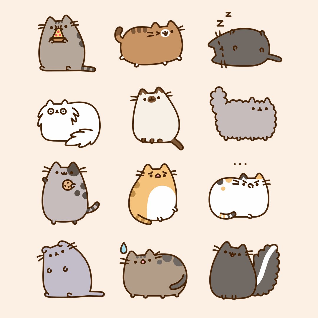 Pusheen the cat on Twitter: "Which kitty is your favorite? 💕🐱💕…