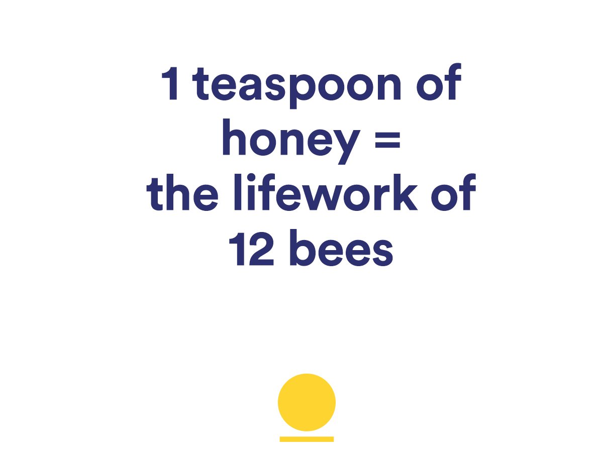 ritual's tweet photo. 1 tsp honey = the lifework of 12 bees #knowingstuff https://t.co/PmtCQUJ724