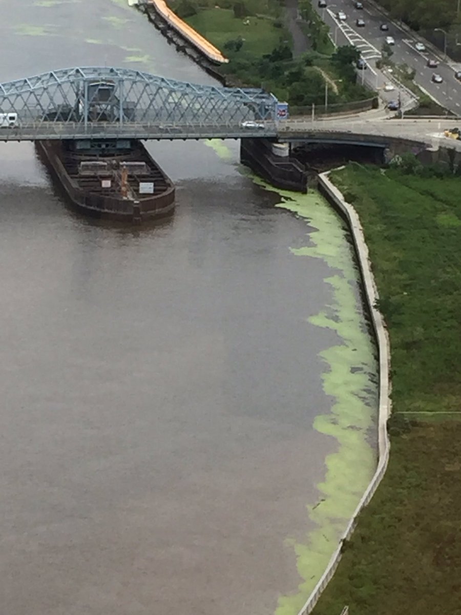 kwein23's tweet photo. #algae #yuck #passaicriver #newark #wtf https://t.co/7WkGEs1UYu