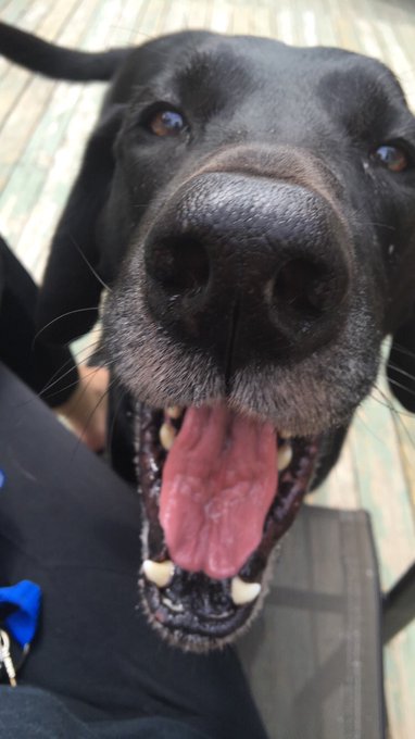 Watch Shelby's leaked NSFW photo on TwXstars