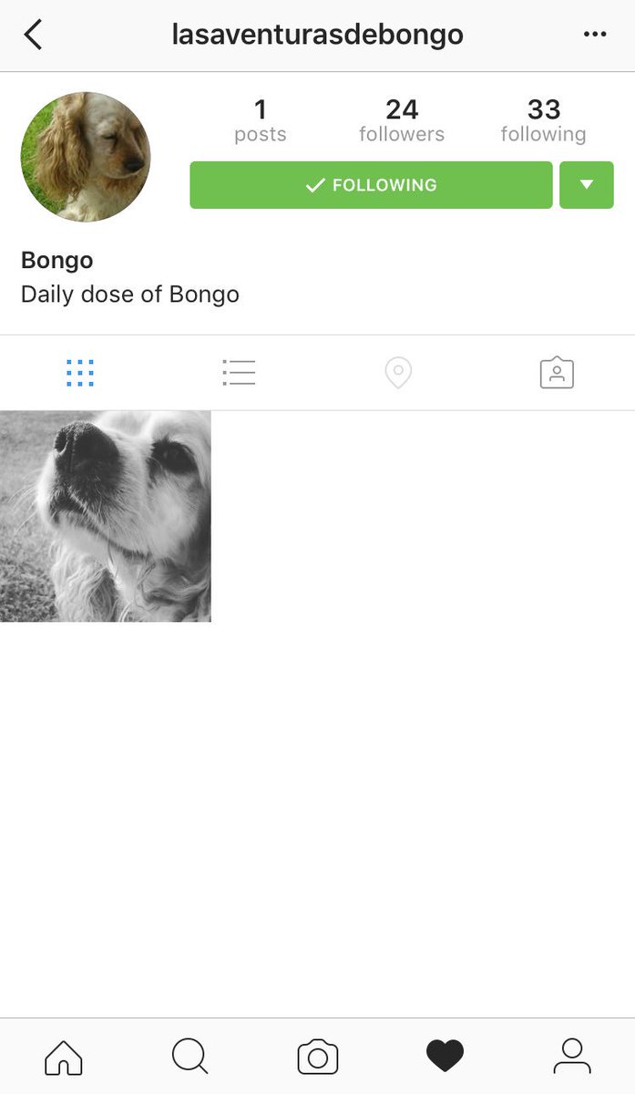 dossiette's tweet photo. Superultramegafollowporsiempre 💛 #bongoforlife 
Cc:@gagabrielala (¿Pa'cuando el tuíter?) https://t.co/j8IokxMGiQ