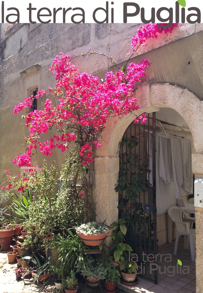 puglia's tweet image. Mi addormento pensando agli infiniti colori della nostra #puglia #discoveringpuglia #buonanotte