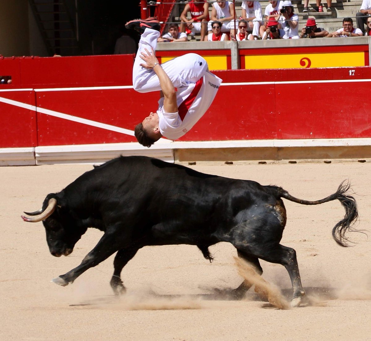 El dia 8 Liga Pro Tour en Estella.Contaremos Javi Pradanas.
#Ruedoarte #macuacorera #concurso #estella #pradanas