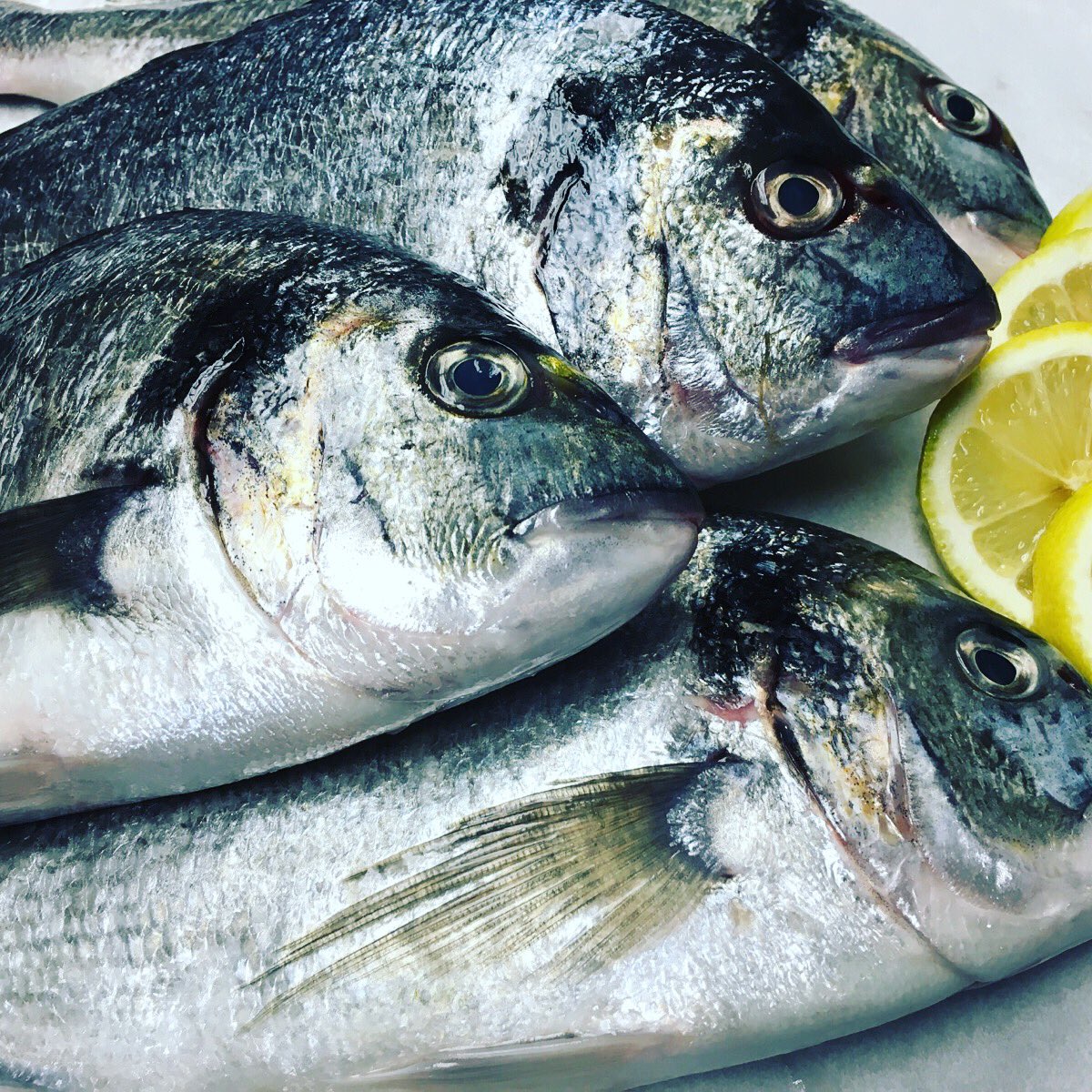 DecoRistorante's tweet photo. Orata alla griglia! Basically, fresh fish tonight at Deco. 🐟🍋 https://t.co/A77pPQO2bv