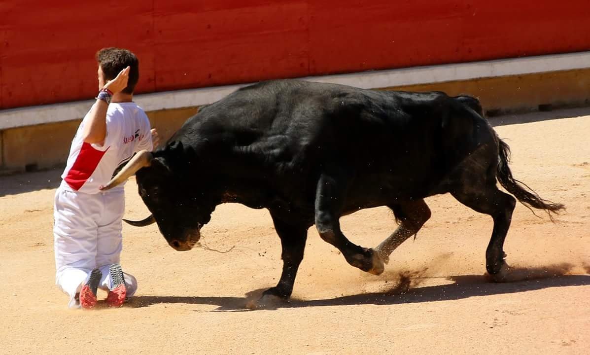 El dia 8 Liga Pro Tour en Estella.Contaremos con Eduardo Verdes
#Ruedoarte #concurso #estella #verdes #recortadores