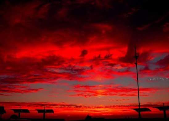 Albertoo1951's tweet photo. El cielo se pinta Rojinegro 🔴⚫ @atlasfc @lafamosabarra51 https://t.co/SMNHT4aW3M